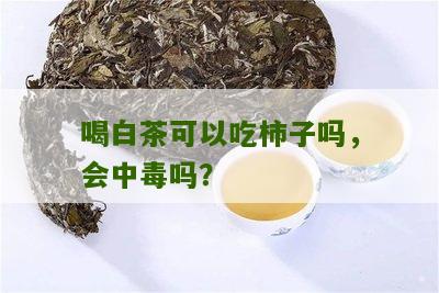 喝白茶可以吃柿子吗，会中毒吗？