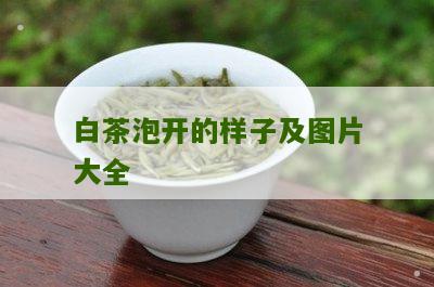 白茶泡开的样子及图片大全