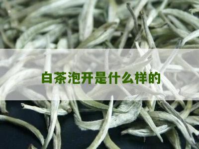 白茶泡开是什么样的