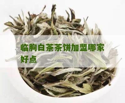 临朐白茶茶饼加盟哪家好点