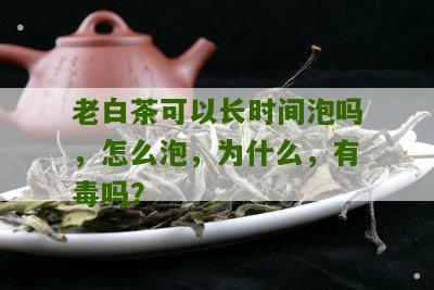 老白茶可以长时间泡吗，怎么泡，为什么，有毒吗？