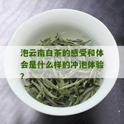 泡云南白茶的感受和体会是什么样的冲泡体验？