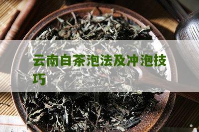 云南白茶泡法及冲泡技巧