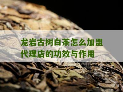 龙岩古树白茶怎么加盟代理店的功效与作用