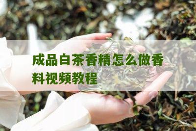 成品白茶香精怎么做香料视频教程