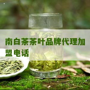 南白茶茶叶品牌代理加盟电话