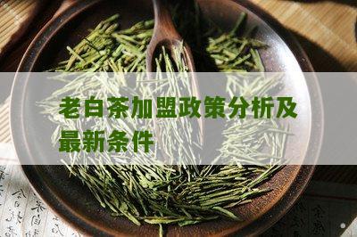 老白茶加盟政策分析及最新条件