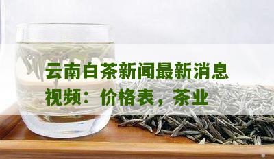 云南白茶新闻最新消息视频：价格表，茶业