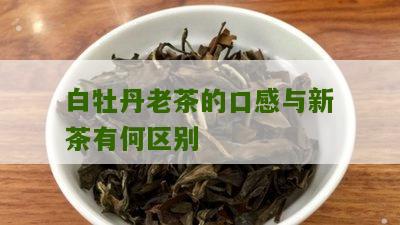 白牡丹老茶的口感与新茶有何区别