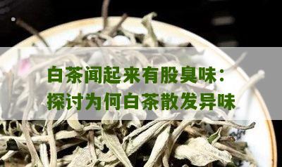 白茶闻起来有股臭味：探讨为何白茶散发异味