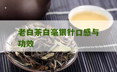 老白茶白毫银针口感与功效