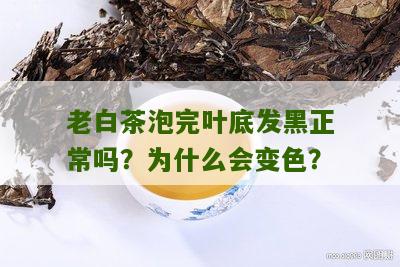 老白茶泡完叶底发黑正常吗？为什么会变色？