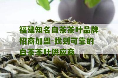 福建知名白茶茶叶品牌招商加盟-找到可靠的白茶茶叶供应商