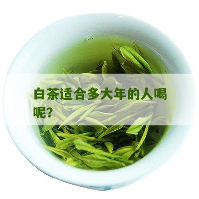 白茶适合多大年的人喝呢？