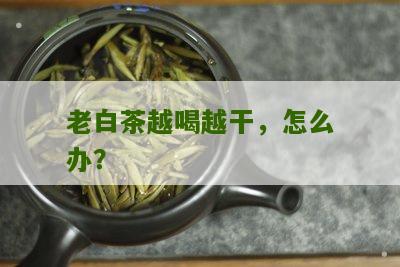 老白茶越喝越干，怎么办？