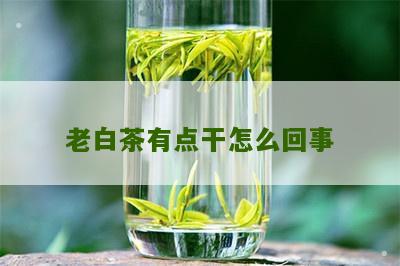 老白茶有点干怎么回事