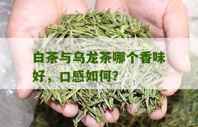 白茶与乌龙茶哪个香味好，口感如何？