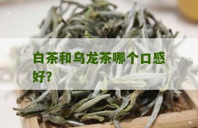 白茶和乌龙茶哪个口感好？