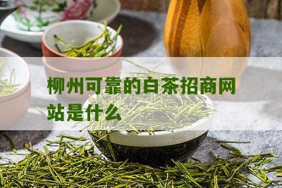 柳州可靠的白茶招商网站是什么