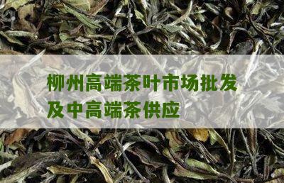 柳州高端茶叶市场批发及中高端茶供应