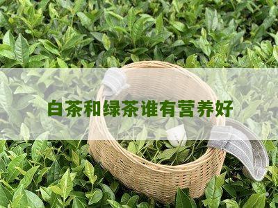 白茶和绿茶谁有营养好