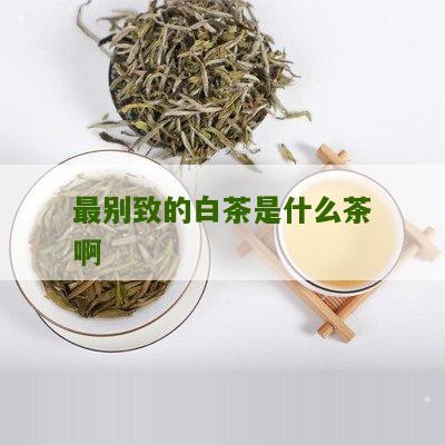 最别致的白茶是什么茶啊