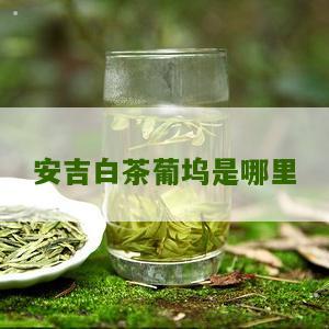 安吉白茶葡坞是哪里