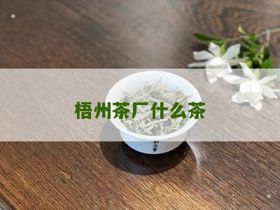 梧州茶厂什么茶