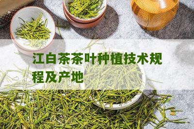 江白茶茶叶种植技术规程及产地