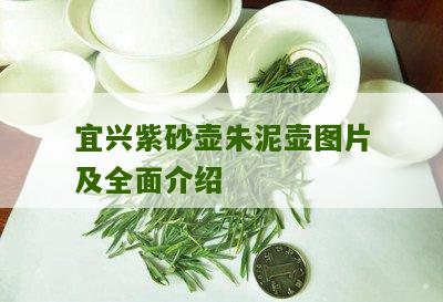 宜兴紫砂壶朱泥壶图片及全面介绍