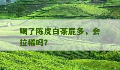 喝了陈皮白茶屁多，会拉稀吗？