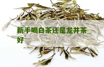 新手喝白茶还是龙井茶好