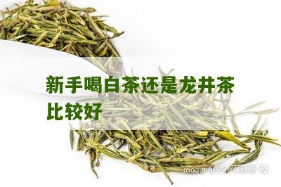 新手喝白茶还是龙井茶比较好