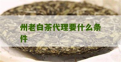 州老白茶代理要什么条件