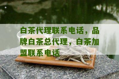 白茶代理联系电话，品牌白茶总代理，白茶加盟联系电话