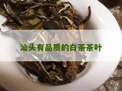 汕头有品质的白茶茶叶