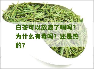 白茶可以放凉了喝吗？为什么有毒吗？还是热的？