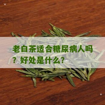 老白茶适合糖尿病人吗？好处是什么？