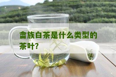 畲族白茶是什么类型的茶叶？