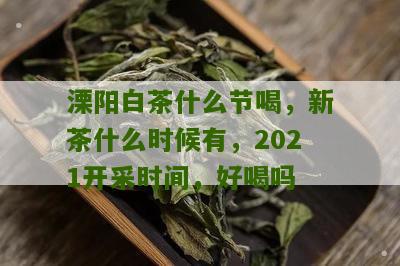 溧阳白茶什么节喝，新茶什么时候有，2021开采时间，好喝吗