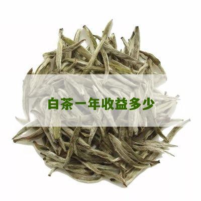 白茶一年收益多少