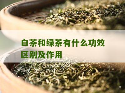 白茶和绿茶有什么功效区别及作用