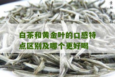 白茶和黄金叶的口感特点区别及哪个更好喝