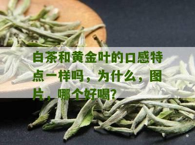 白茶和黄金叶的口感特点一样吗，为什么，图片，哪个好喝？