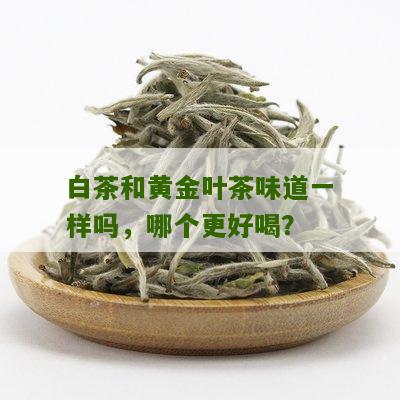 白茶和黄金叶茶味道一样吗，哪个更好喝？