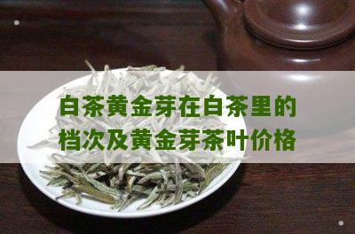 白茶黄金芽在白茶里的档次及黄金芽茶叶价格