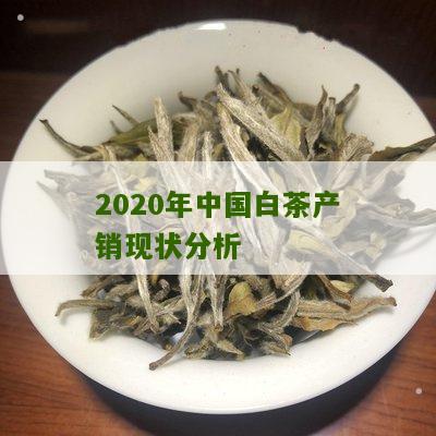 2020年中国白茶产销现状分析