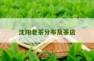 沈阳老茶分布及茶店