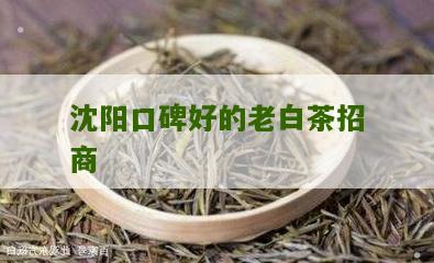 沈阳口碑好的老白茶招商