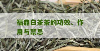 福鼎白茶茶的功效、作用与禁忌